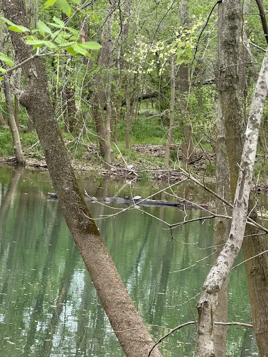 Ariel RV Park Picture 8