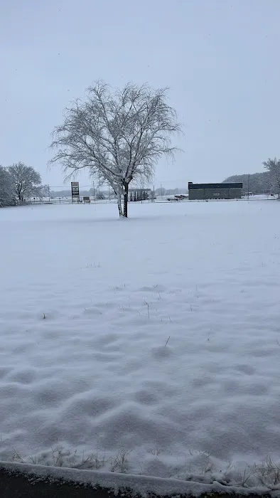 43 RV Campground & Storage Picture 1