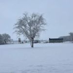 43 RV Campground & Storage