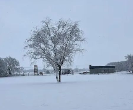 43 RV Campground & Storage