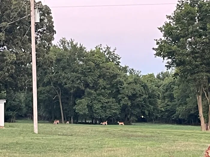 43 RV Campground & Storage Picture 9