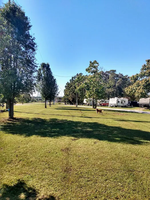 Blue Sky'S Rv Park Picture 8