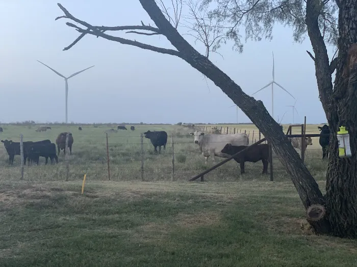 Mesquite Hallow Picture 3