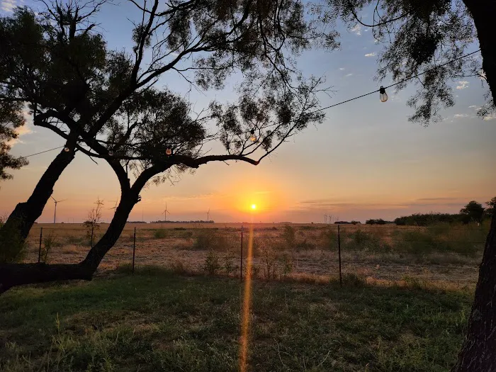 Mesquite Hallow Picture 10