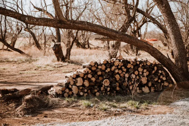 Mesquite Hallow Picture 9