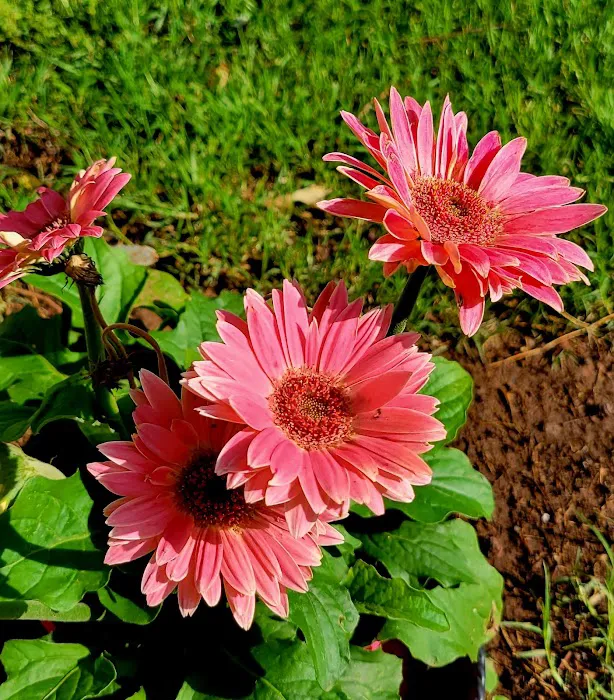 Creekside RV Seymour TX Picture 6