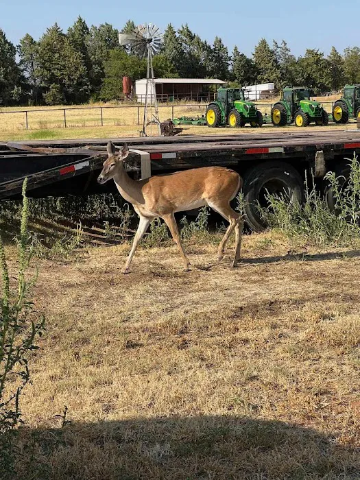 Creekside RV Seymour TX Picture 9