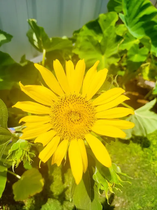 Creekside RV Seymour TX Picture 8