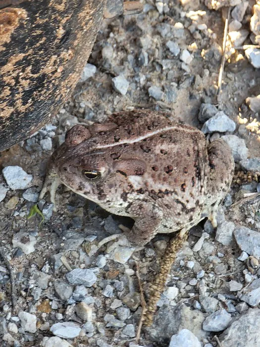 Sunshine Rv Park Picture 1