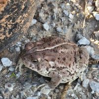 Sunshine Rv Park ico