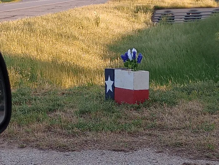 LoneStar PecanShell RV Ranch and Camp Picture 3