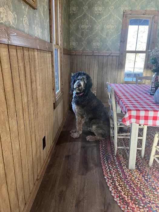 Pioneer Living RV Park Picture 7