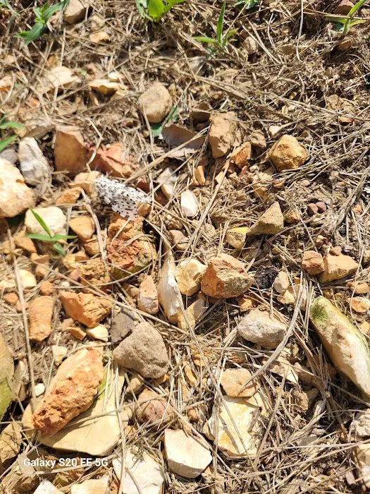 Prospect Park Mobile Home Community Picture 1