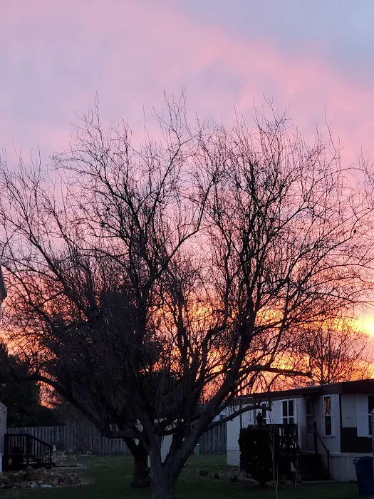 Briarwood Mobile Home Community Picture 10