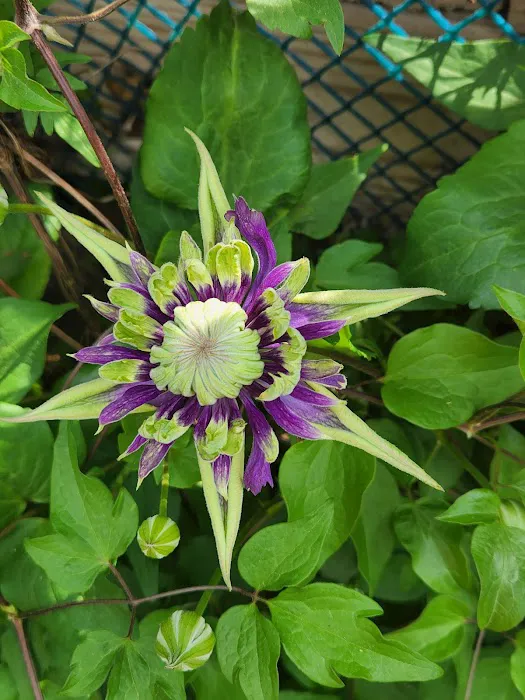 Briarwood Mobile Home Community Picture 9