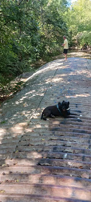 Forest Cove South Picture 10