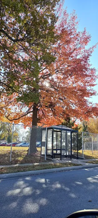 SPRINGFIELD MISSOURI TINY HOMES Picture 8