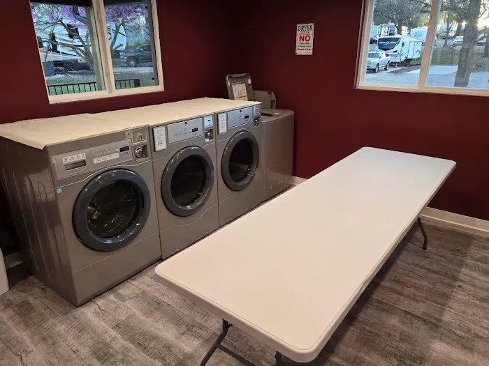 Caravan RV Picture 10