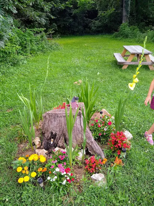 Highway 60 RV Park Picture 10