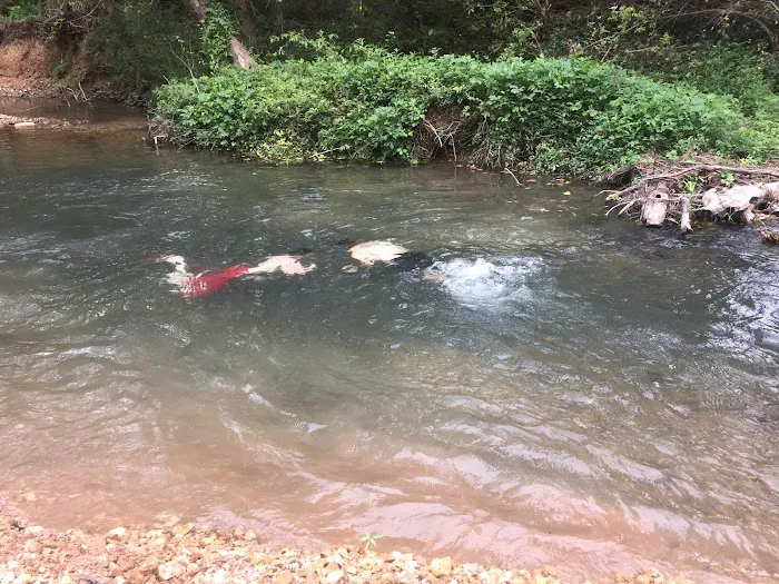 Hickory Creek RV Park Picture 2