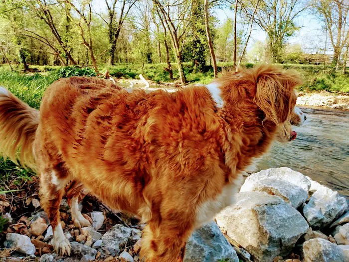 Hickory Creek RV Park Picture 10