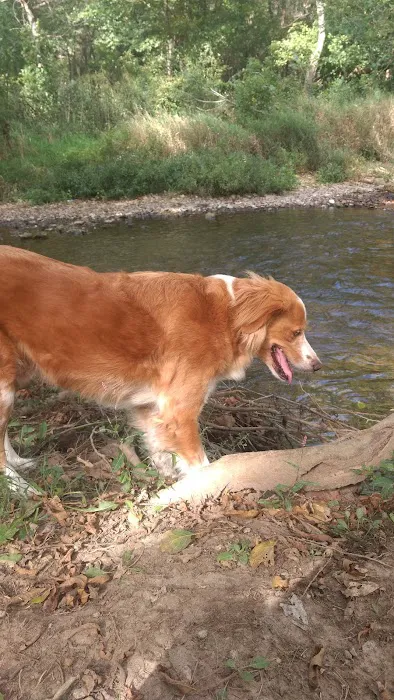 Hickory Creek RV Park Picture 7