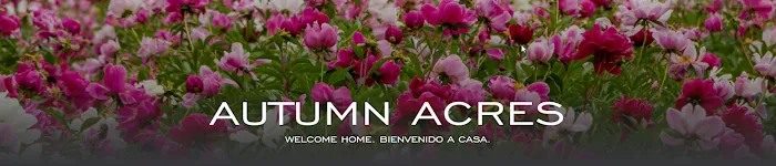 Autumn Acres Mobile Home Community Picture 9