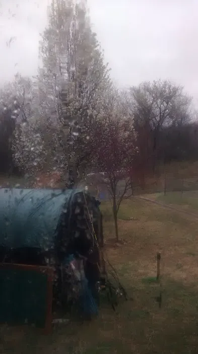 Lone Elm Mobile Home Park Picture 5