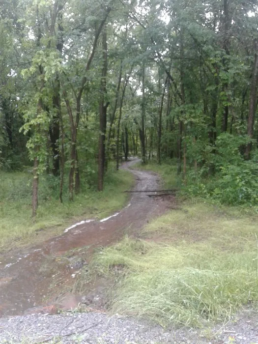 Gibson RV Park by the Lake Picture 5