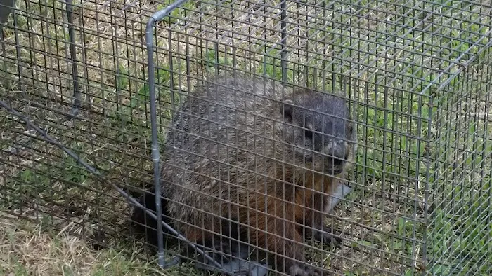 Gibson RV Park by the Lake Picture 9