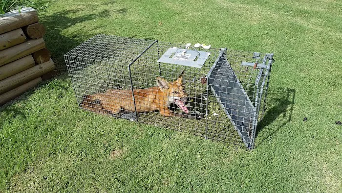 Gibson RV Park by the Lake Picture 7