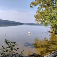 Peacock Pines RV Park ico
