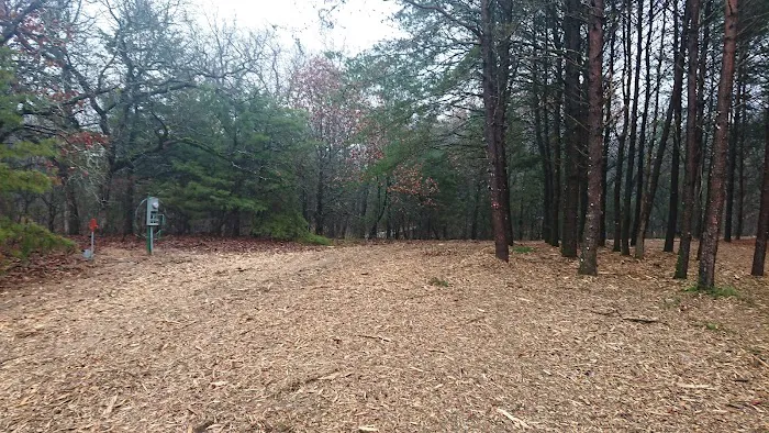 Peacock Pines RV Park Picture 3