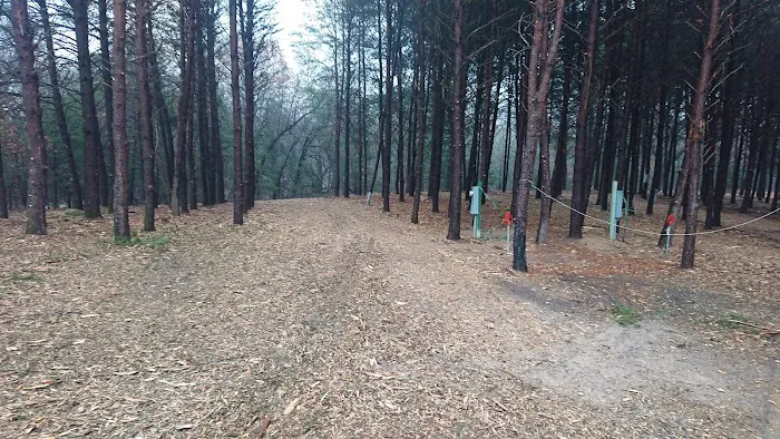 Peacock Pines RV Park Picture 6