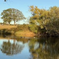 Golden Pond RV Park ico