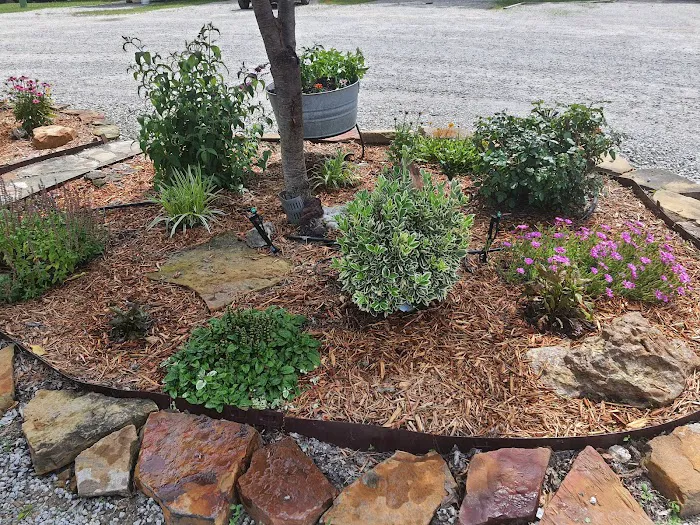 Riverside RV Park Picture 5