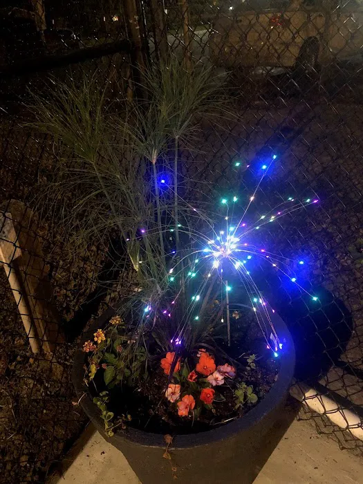 Riverside RV Park Picture 6