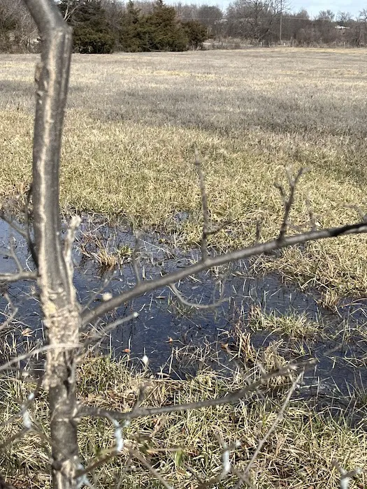 Bartlesville Mobile Home Park Picture 8