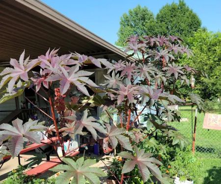 Lakeshore RV & Mobile Home Park