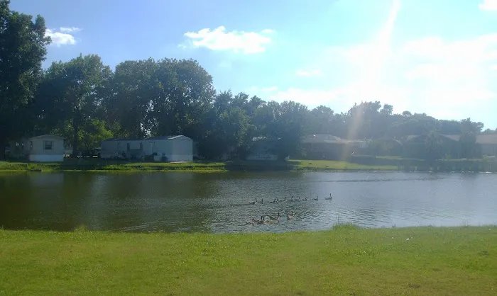 Lakeshore RV & Mobile Home Park Picture 2