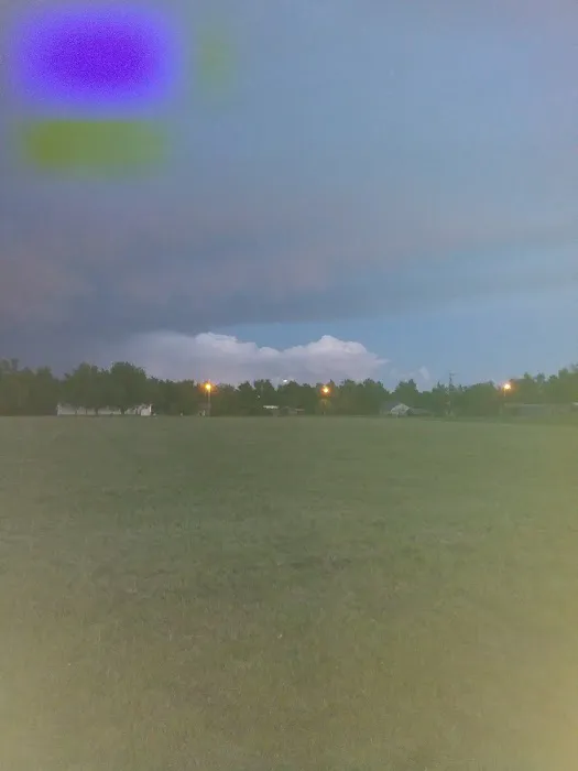 Shady Lane Rv Park Picture 7