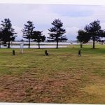 Artesian Lake RV Sites & Cabins