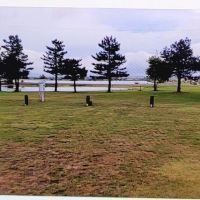 Artesian Lake RV Sites & Cabins ico