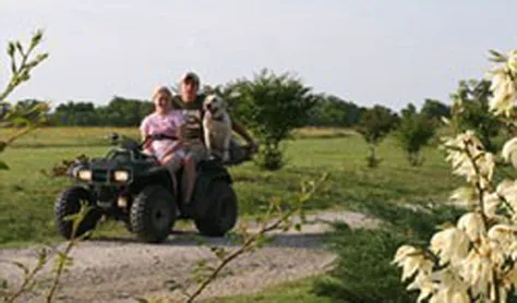 Meadow Park Picture 6