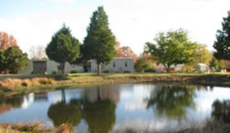 Meadow Park Picture 5