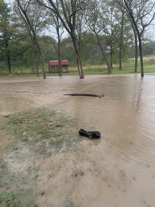 Red Bird RV Park Picture 6