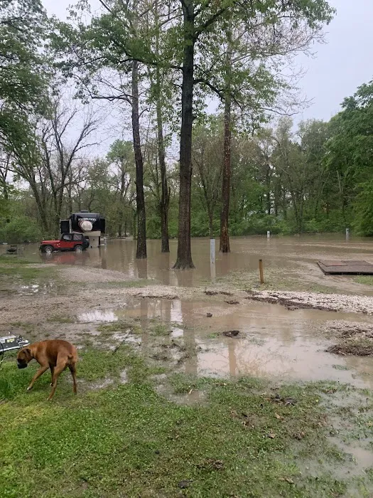 Red Bird RV Park Picture 5