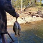 Ice Box Bluff Resort