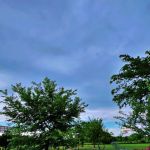 MUNDY'S RV PARK