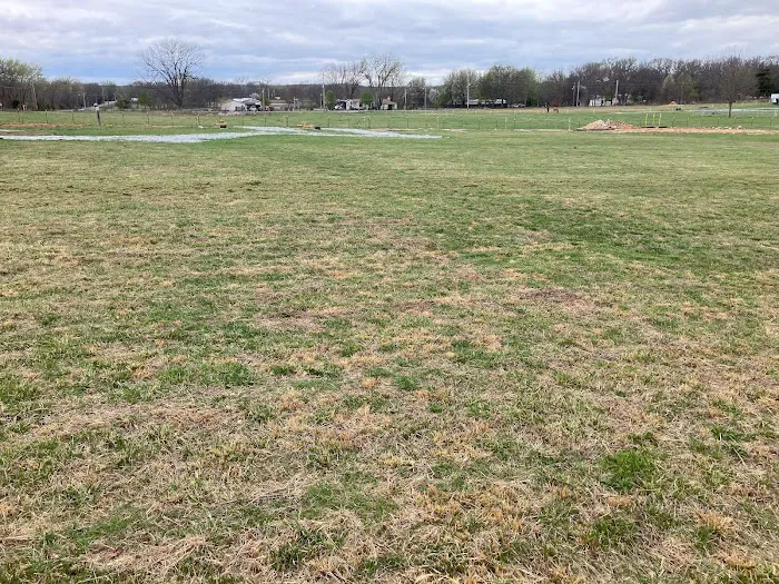 Park It Here llc Picture 2